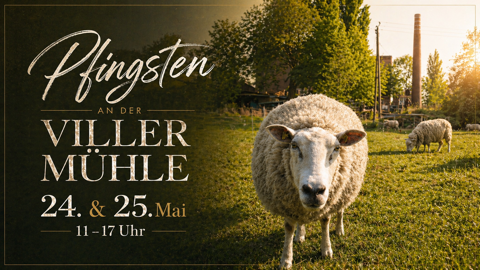 Pfingsten an der Viller Mühle  2026